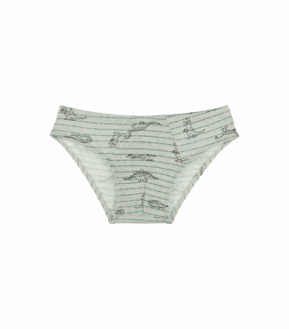 Детские трусы для мальчика с рисунком