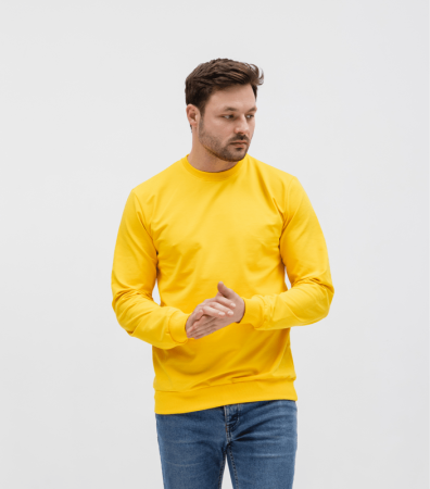 Однотонний чоловічий світшот