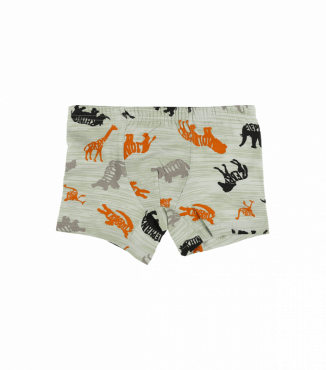 Детские трусы боксеры для мальчика