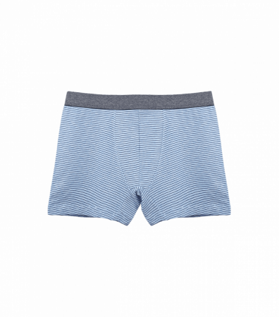 Труси боксери з малюнком Смужка