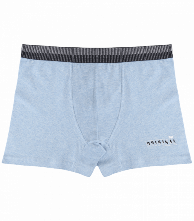 Підліткові труси боксери з принтом THE ORIGINAL